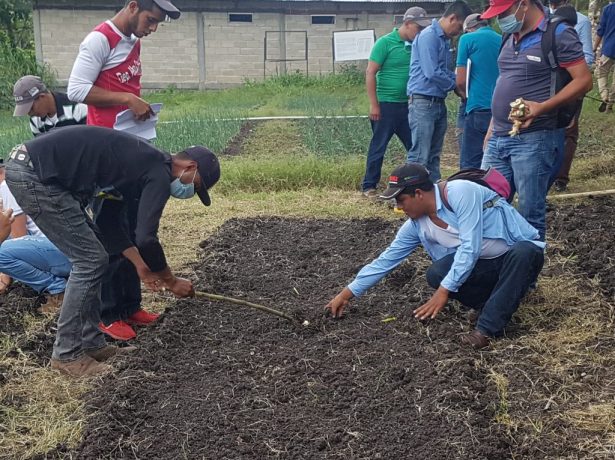 Taller “Producción de Huertos Bio-intensivos”