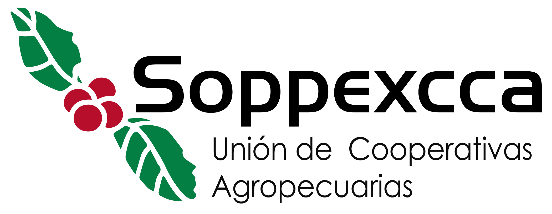 Unión de Cooperativas Agropecuarias – UCA SOPPEXCCA